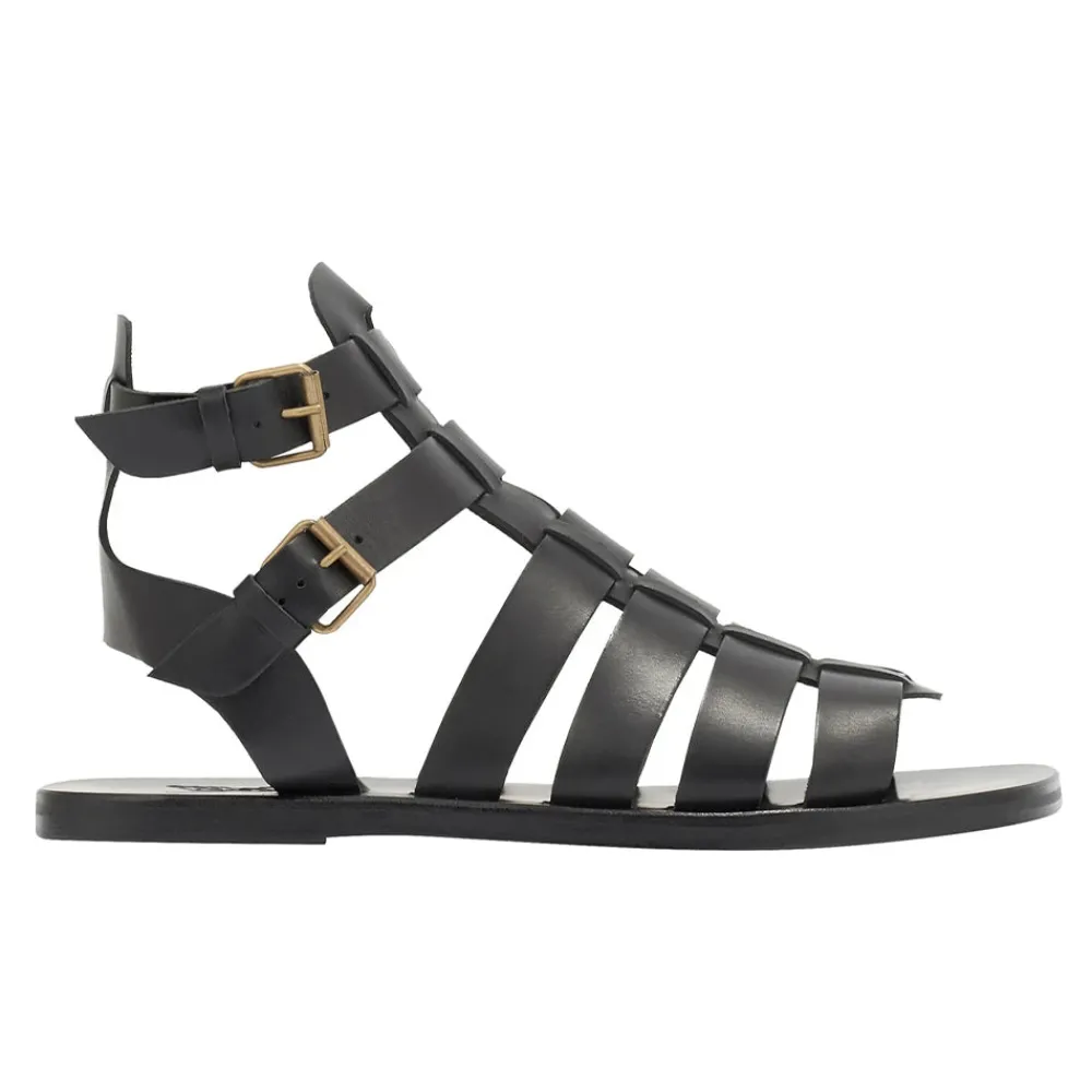 Alexandros Gladiators