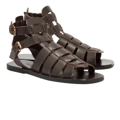 Sale Alexandros Gladiators