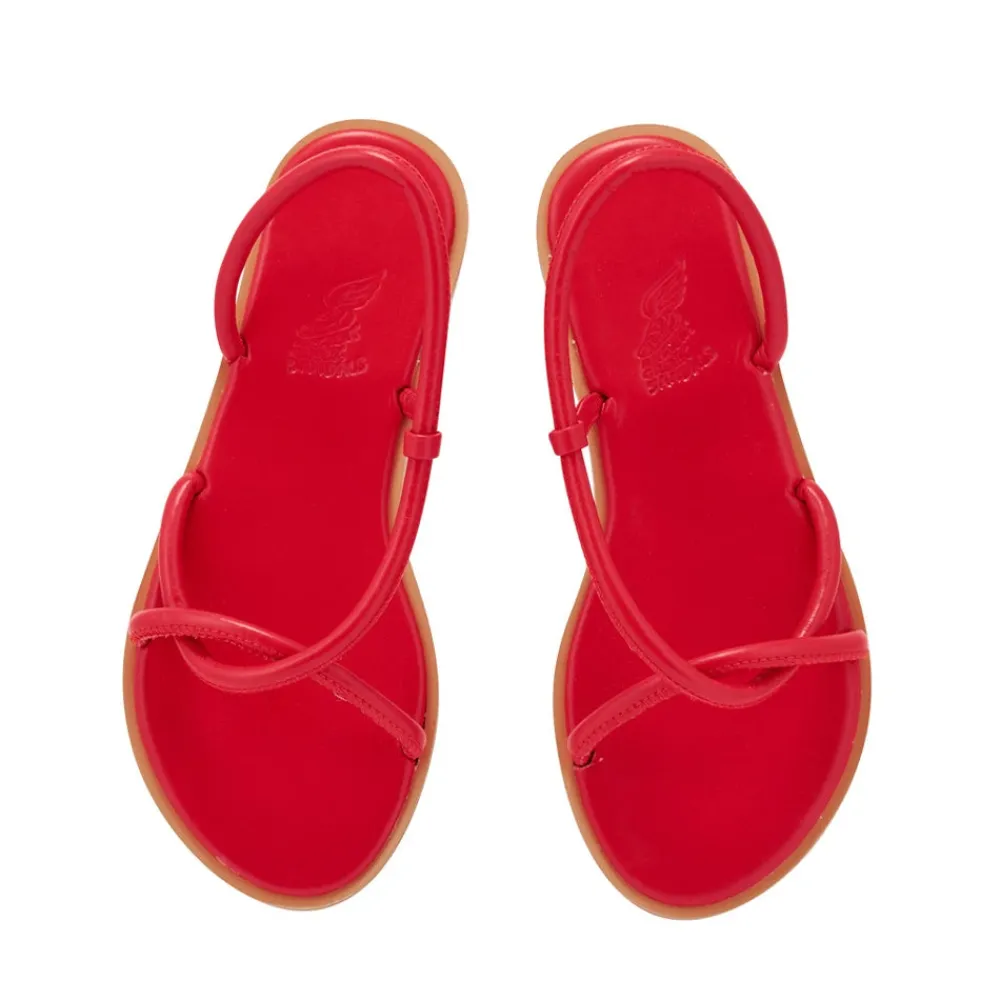 Best Bomba Women Slingbacks |Comfort Soles