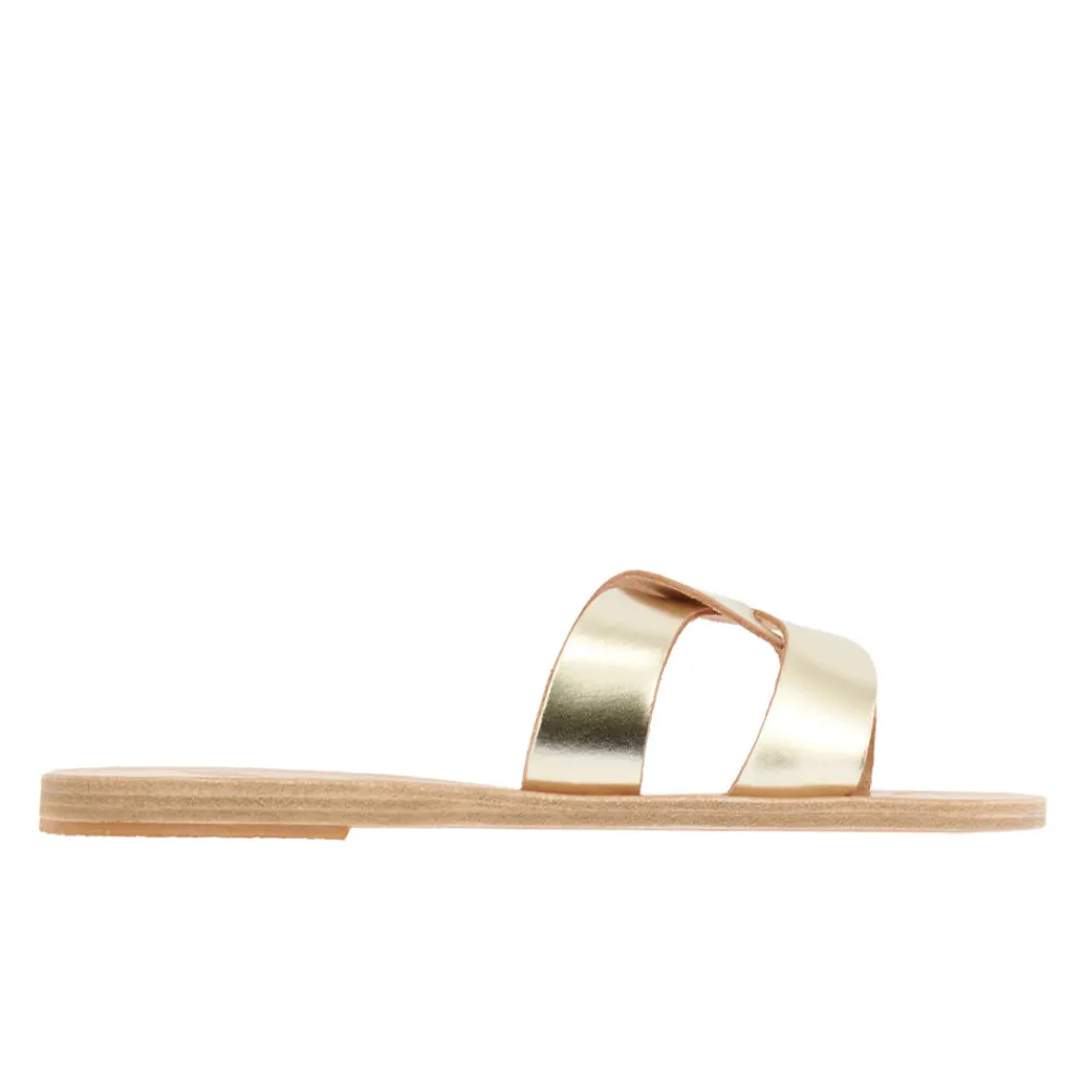 Desmos Women Slides