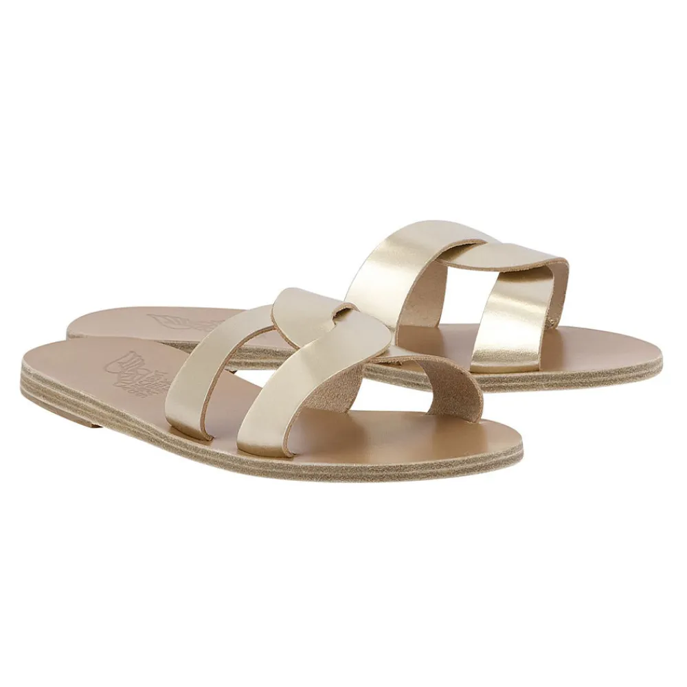Desmos Women Slides