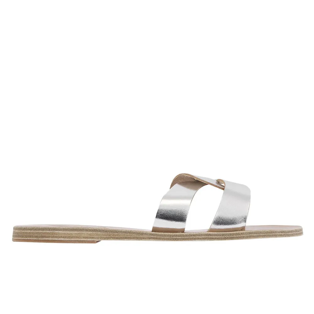 Desmos Women Slides