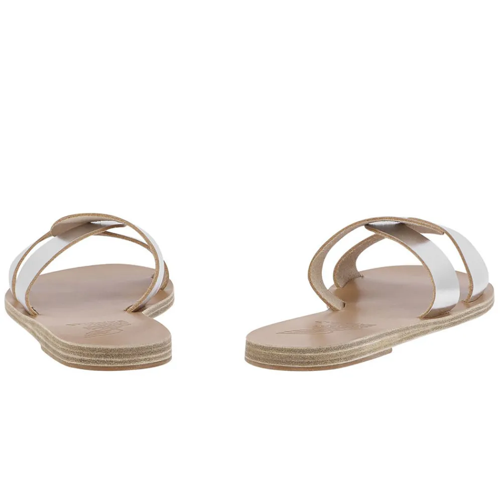Desmos Women Slides